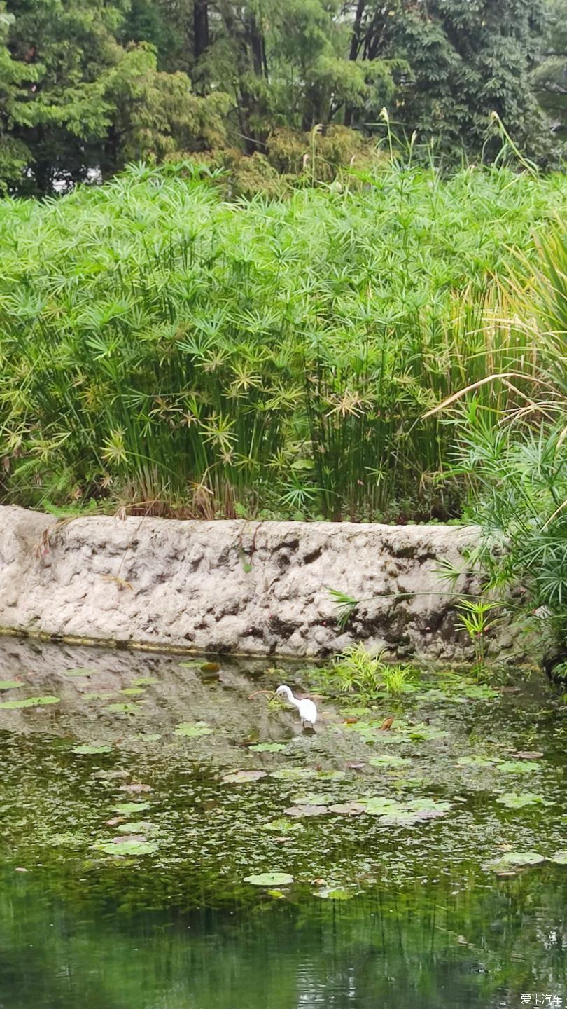 【大玩家】成都活水公園