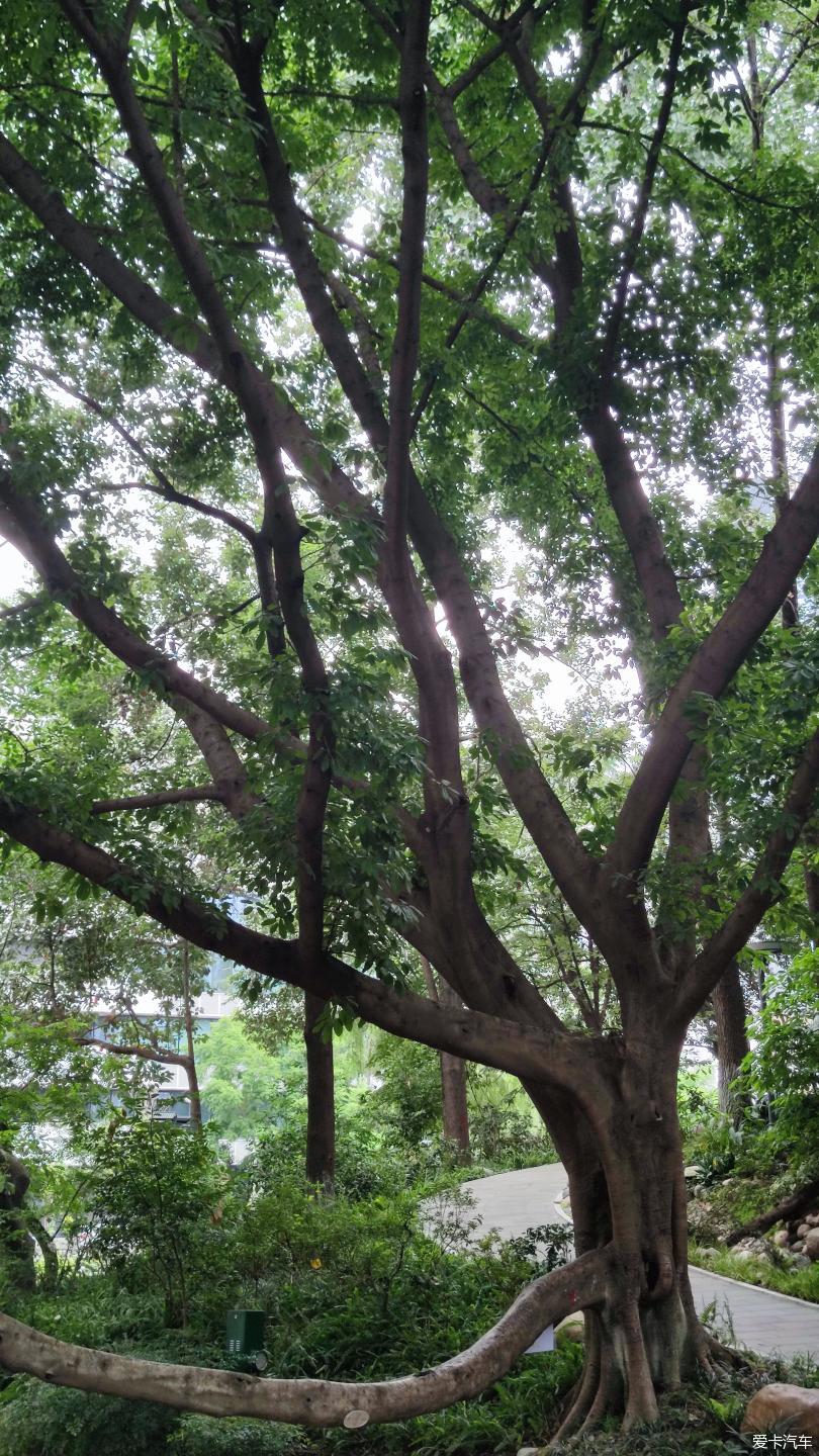 【大玩家】成都活水公園