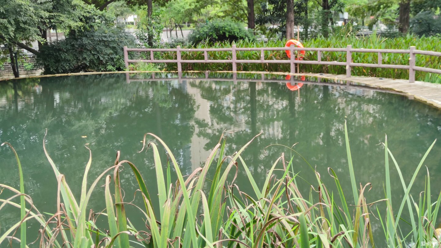 【大玩家】成都活水公園