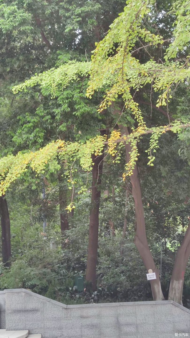 【大玩家】成都活水公園