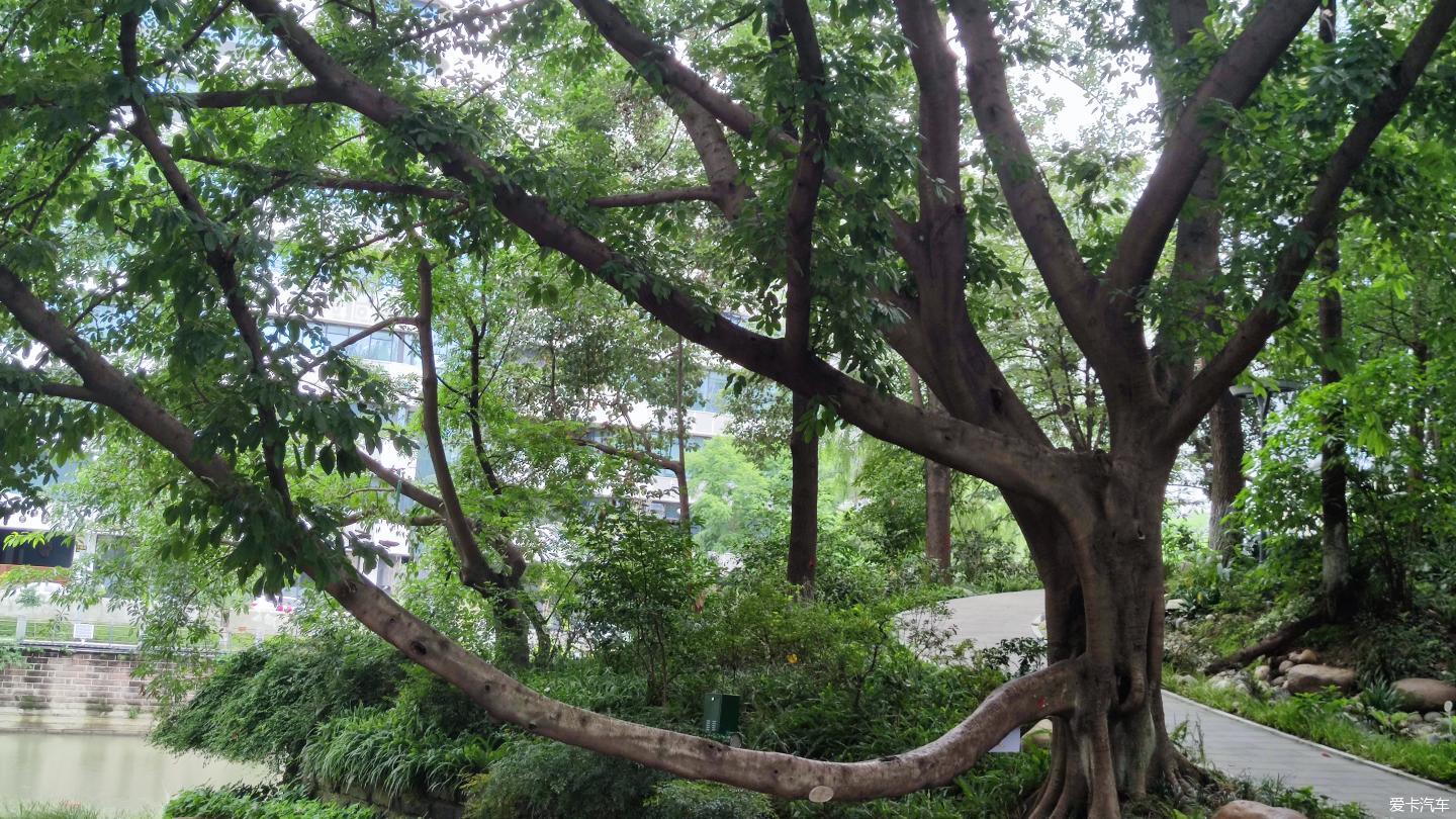 【大玩家】成都活水公園