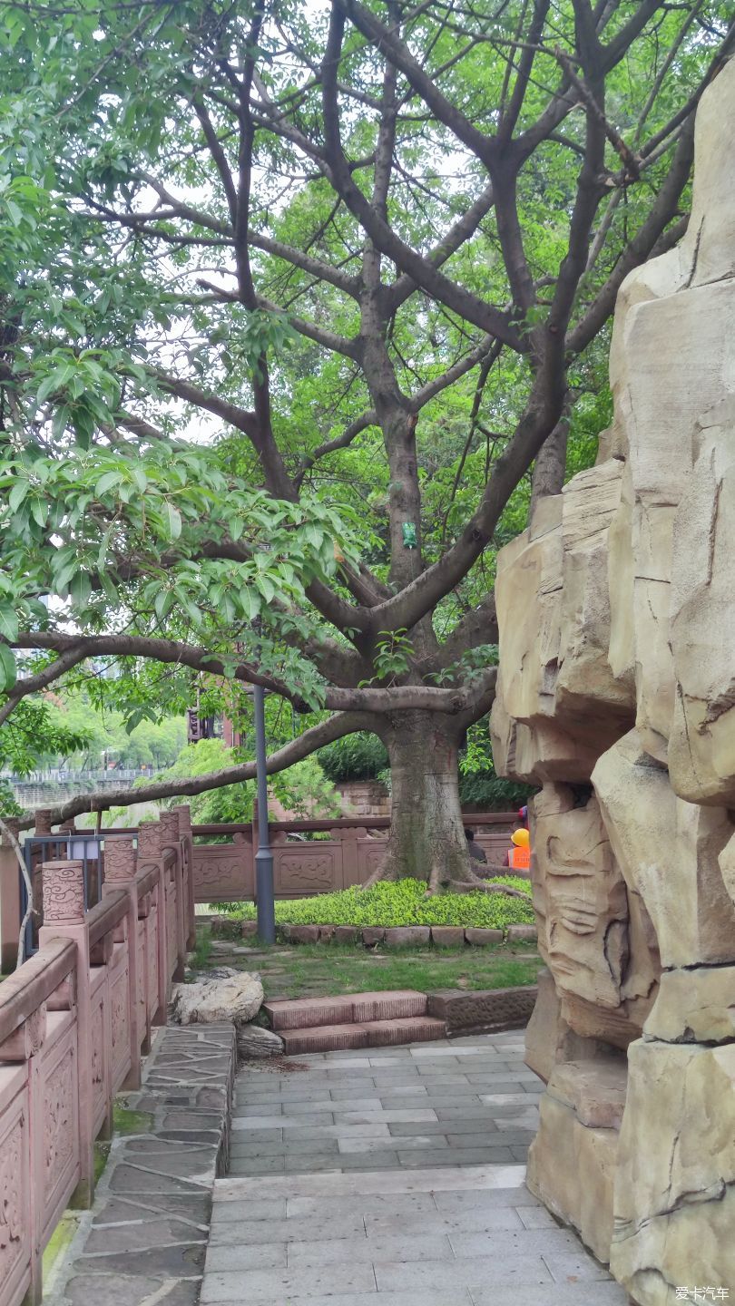 【大玩家】成都活水公園