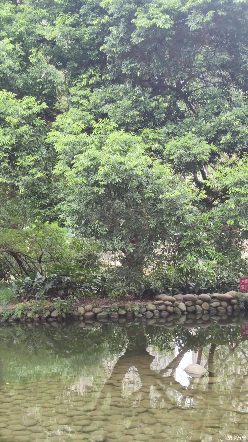 【大玩家】成都活水公園