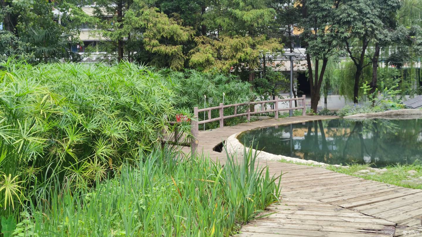 【大玩家】成都活水公園