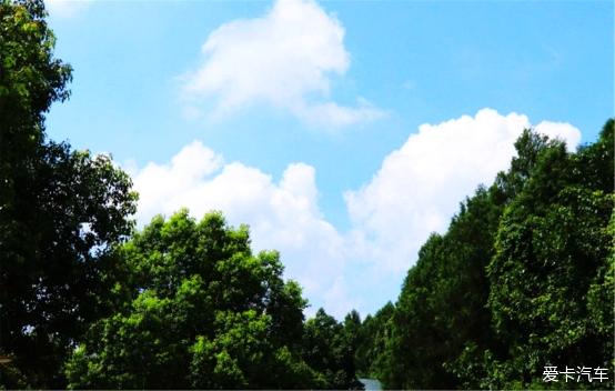 点击进入图库