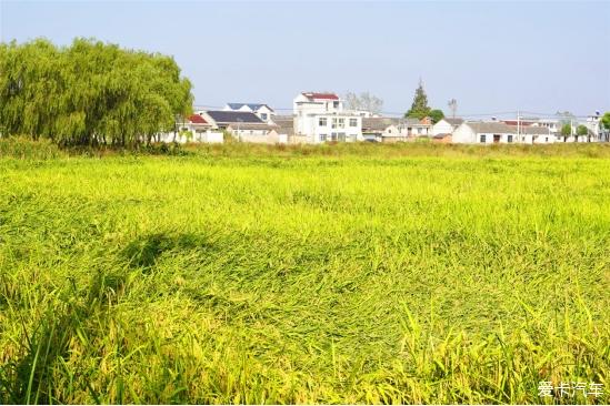 点击进入图库