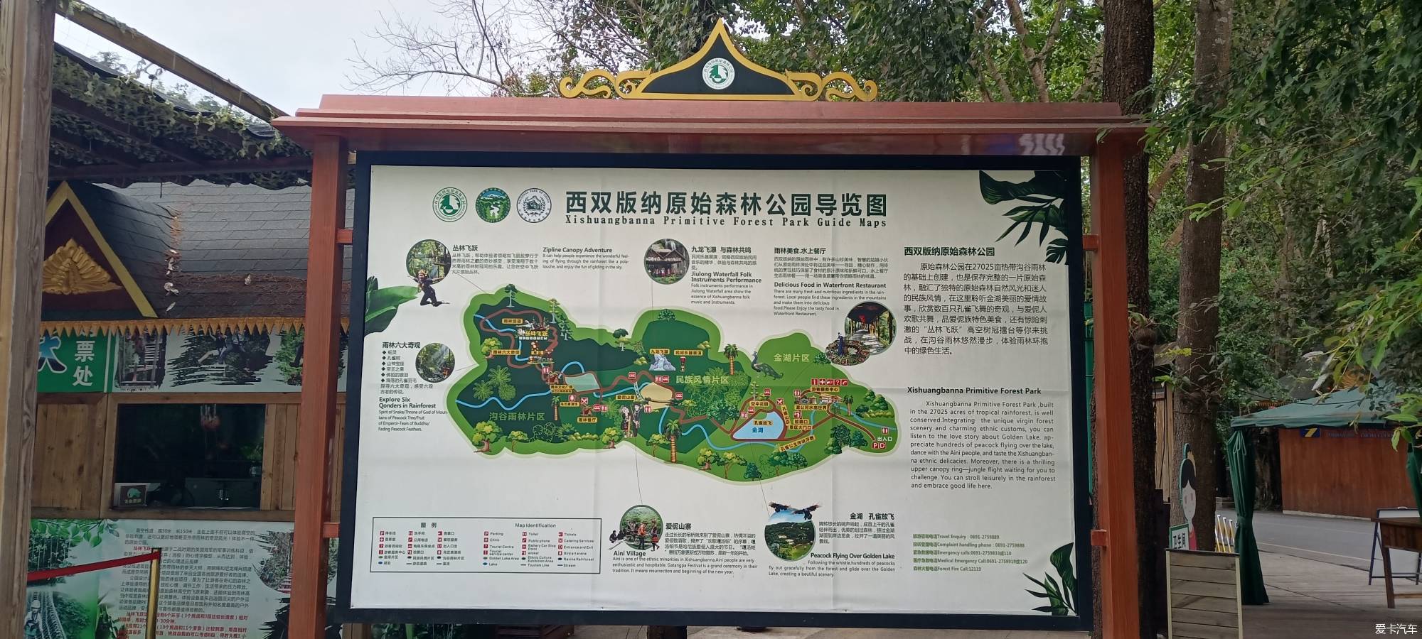 【2022热搜冲顶】多彩云南，西双版纳原始森林公园旅游之旅