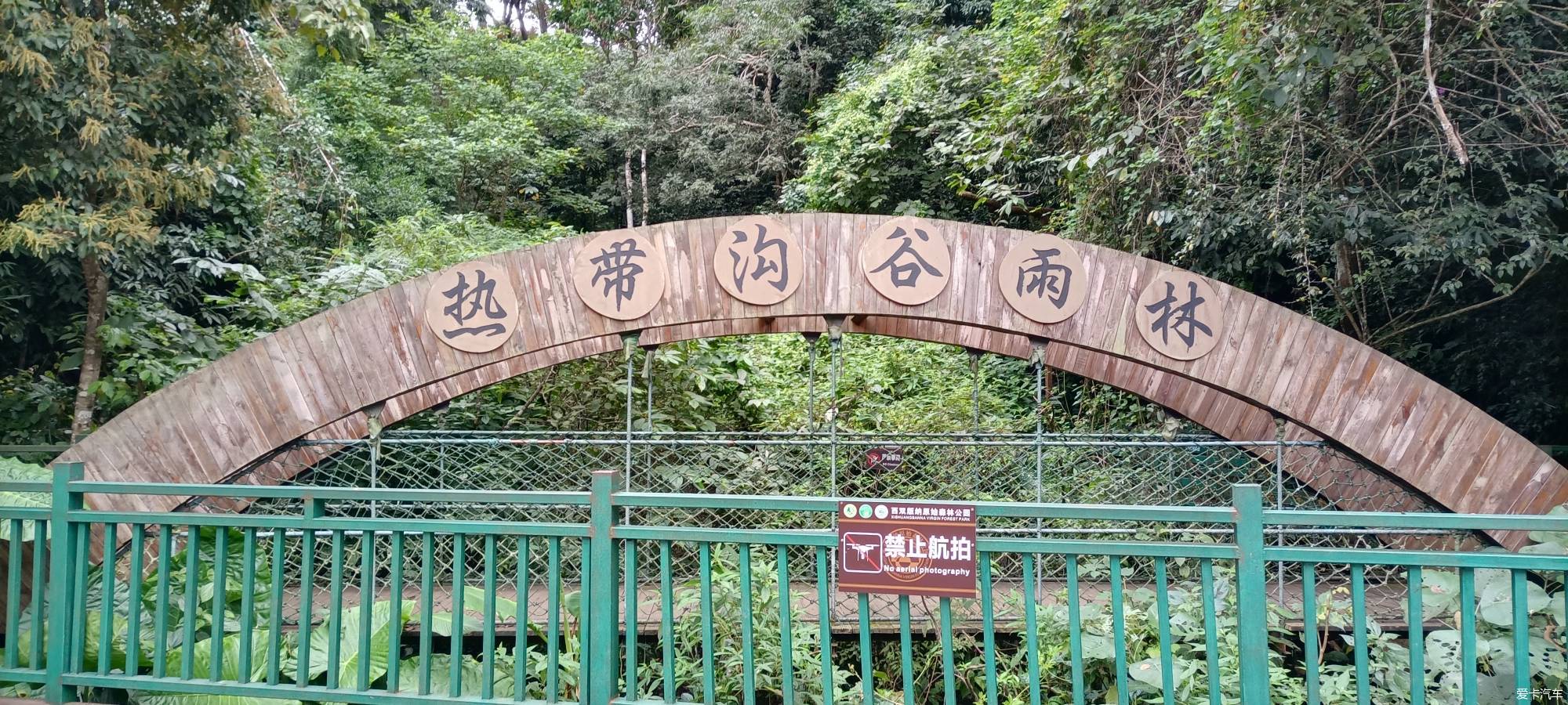 【2022热搜冲顶】多彩云南，西双版纳原始森林公园旅游之旅