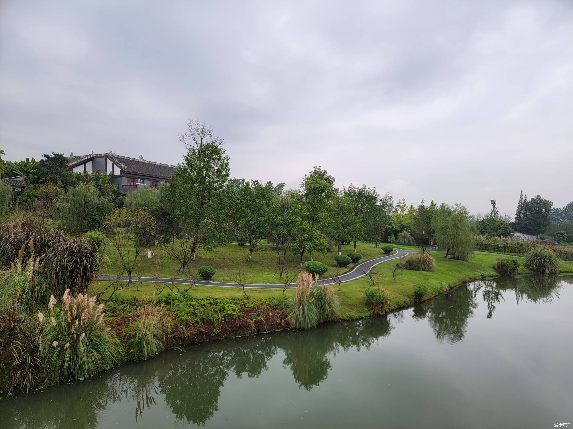 新津杨柳河湿地公园图片