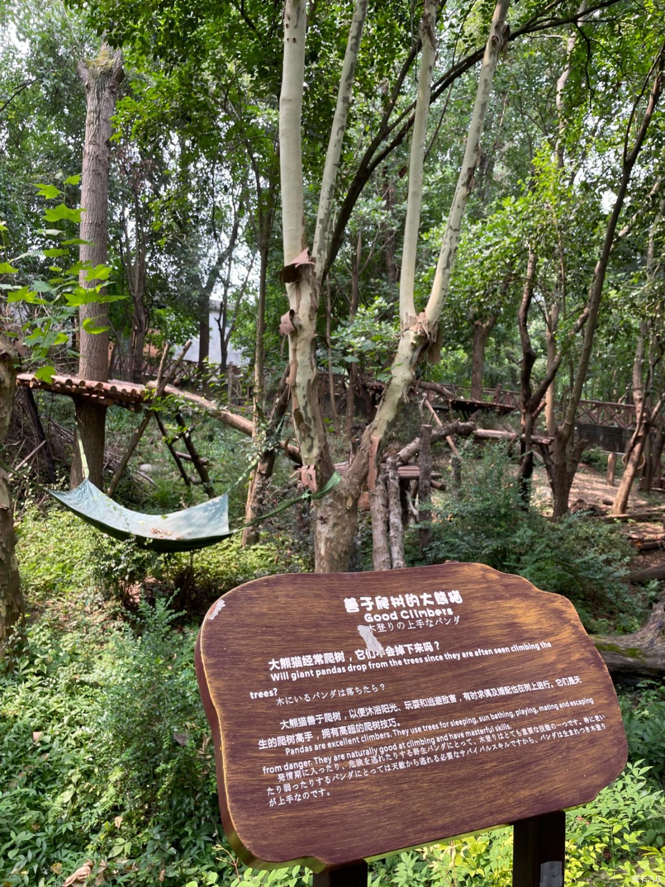 Driving in Tibet Day 3 with my daughter: Chengdu Giant Panda Breeding Base