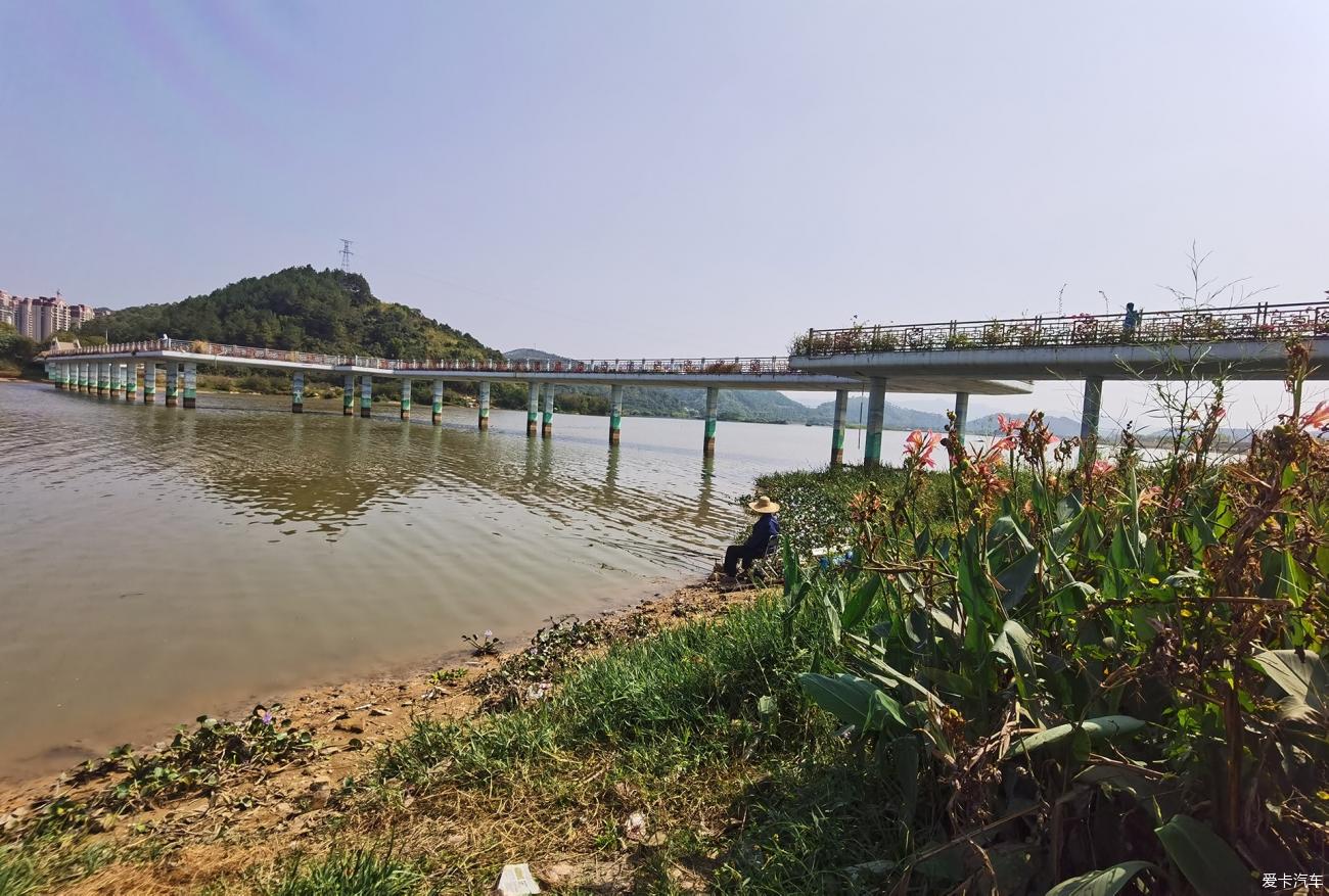 【玉兔迎新】梧州印象:河湖連通,生態和諧共生的蒼海溼地公園-愛卡