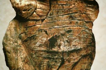 霍勒费尔斯的维纳斯，有40000 - 35000年的历史