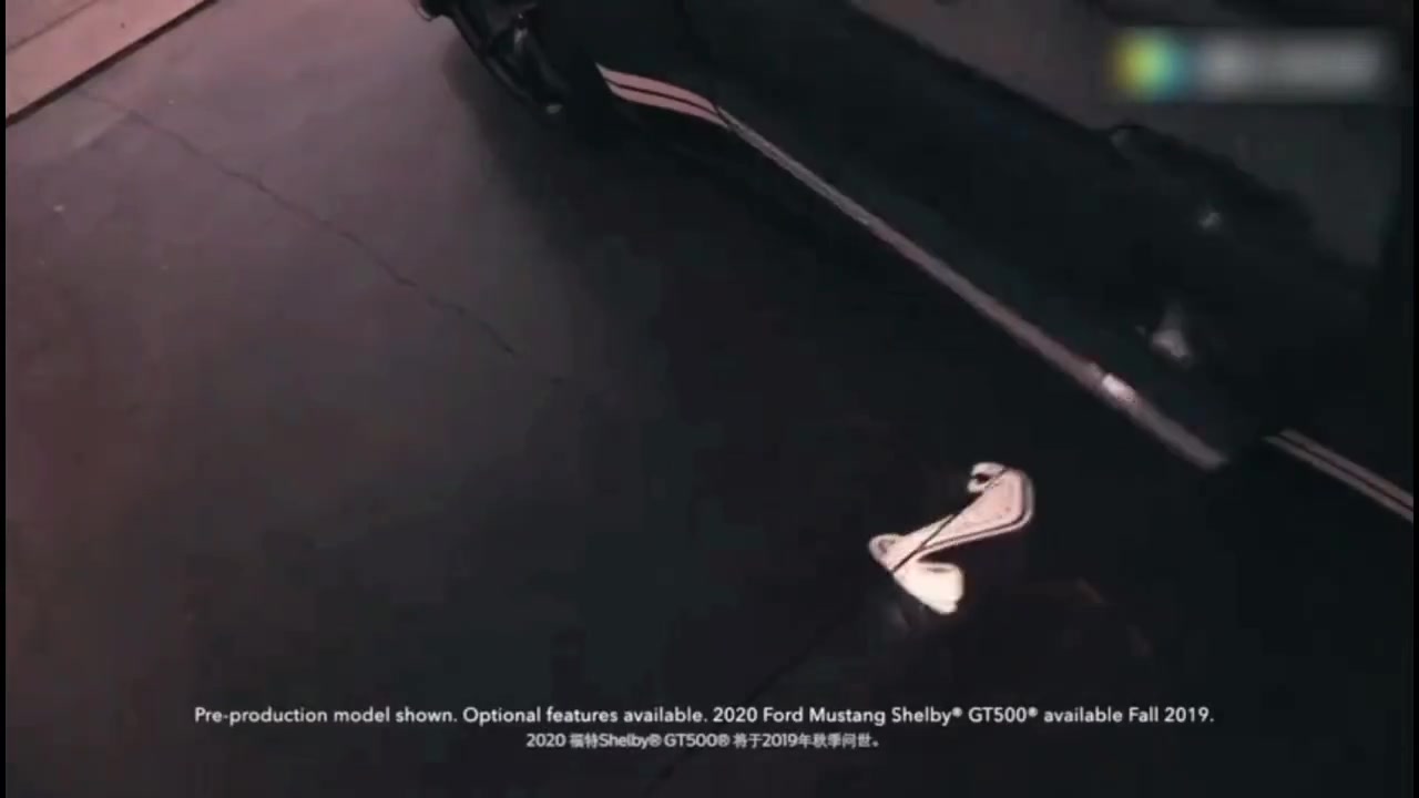 Mustang野马