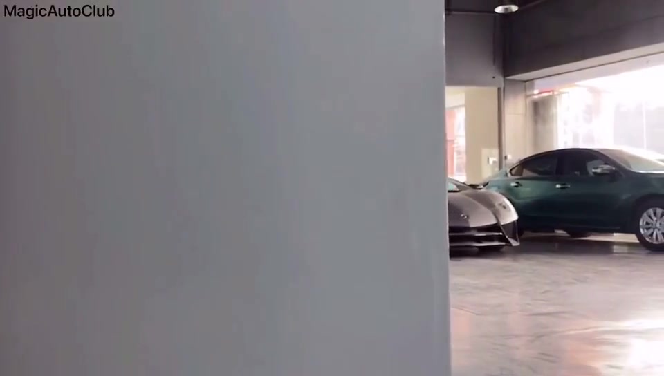 恶犬