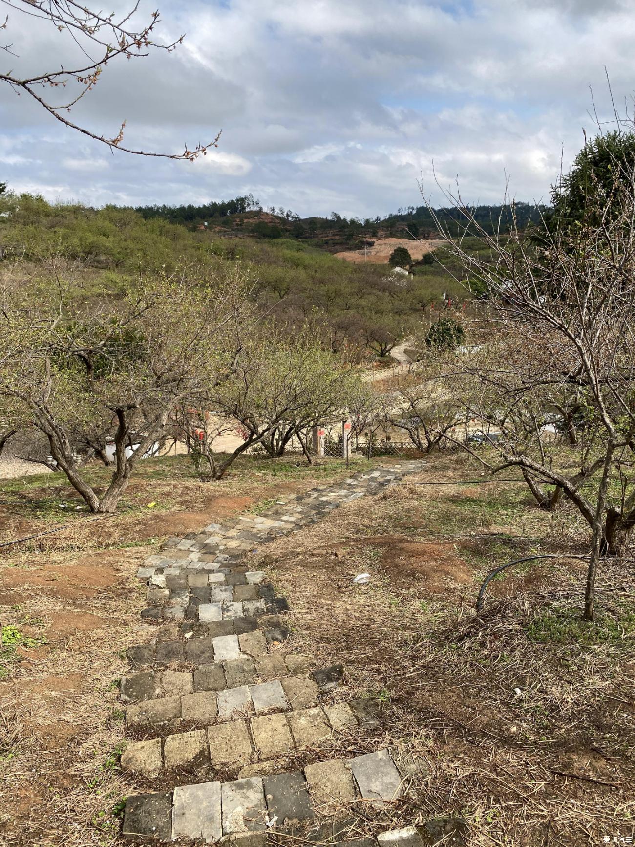 点击进入图库