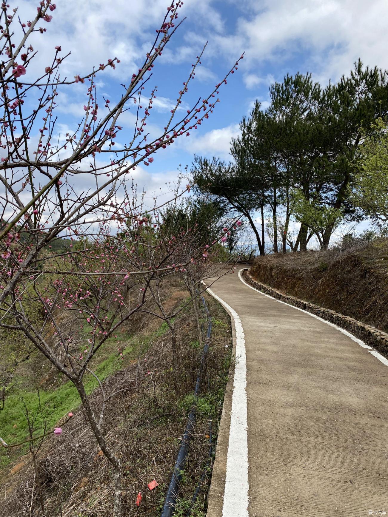 点击进入图库