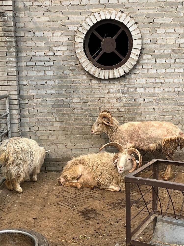 点击进入图库