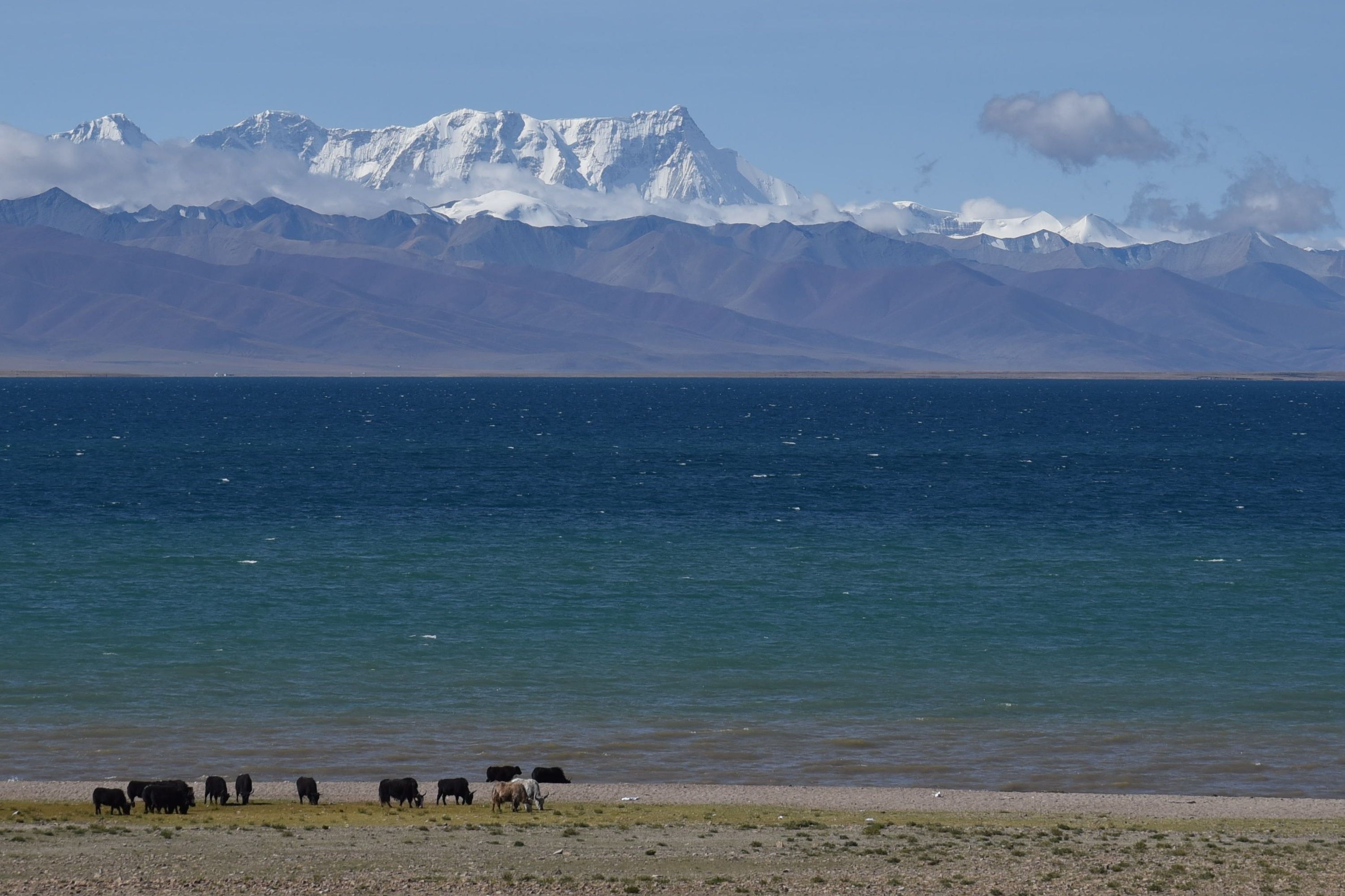 虎驾蓝搏西藏自驾之旅那根拉山5190米俯眺停车湖滩近观纳木措