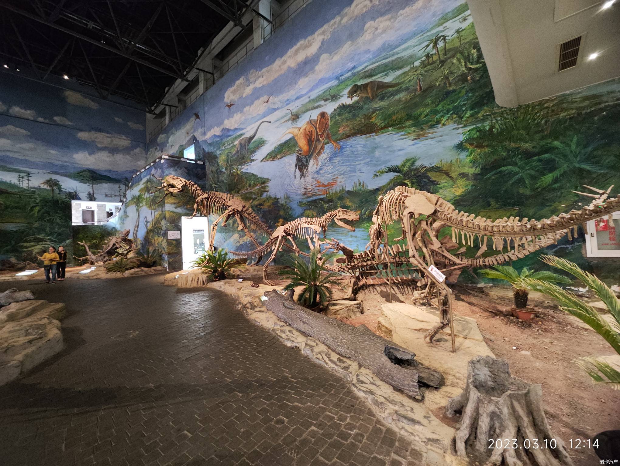 【爱车秀】参观 · 四川自贡恐龙博物馆
