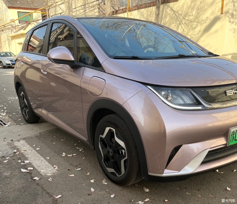 BYD Dolphin female car owners share their cars and driving