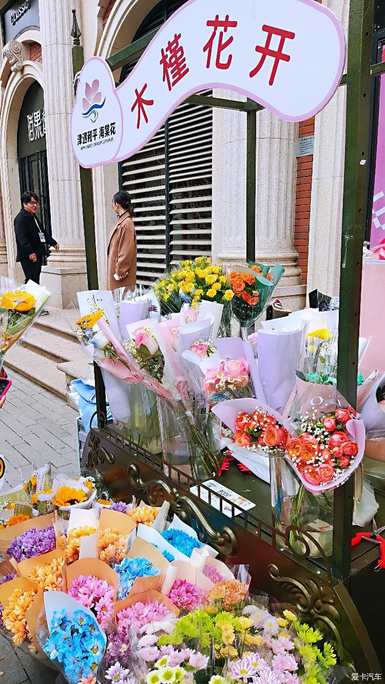 [Essence of Spring and Summer] Spring is just right, begonias are being embroidered, and we are visiting the Begonia Festival on Five Avenues in Tianjin