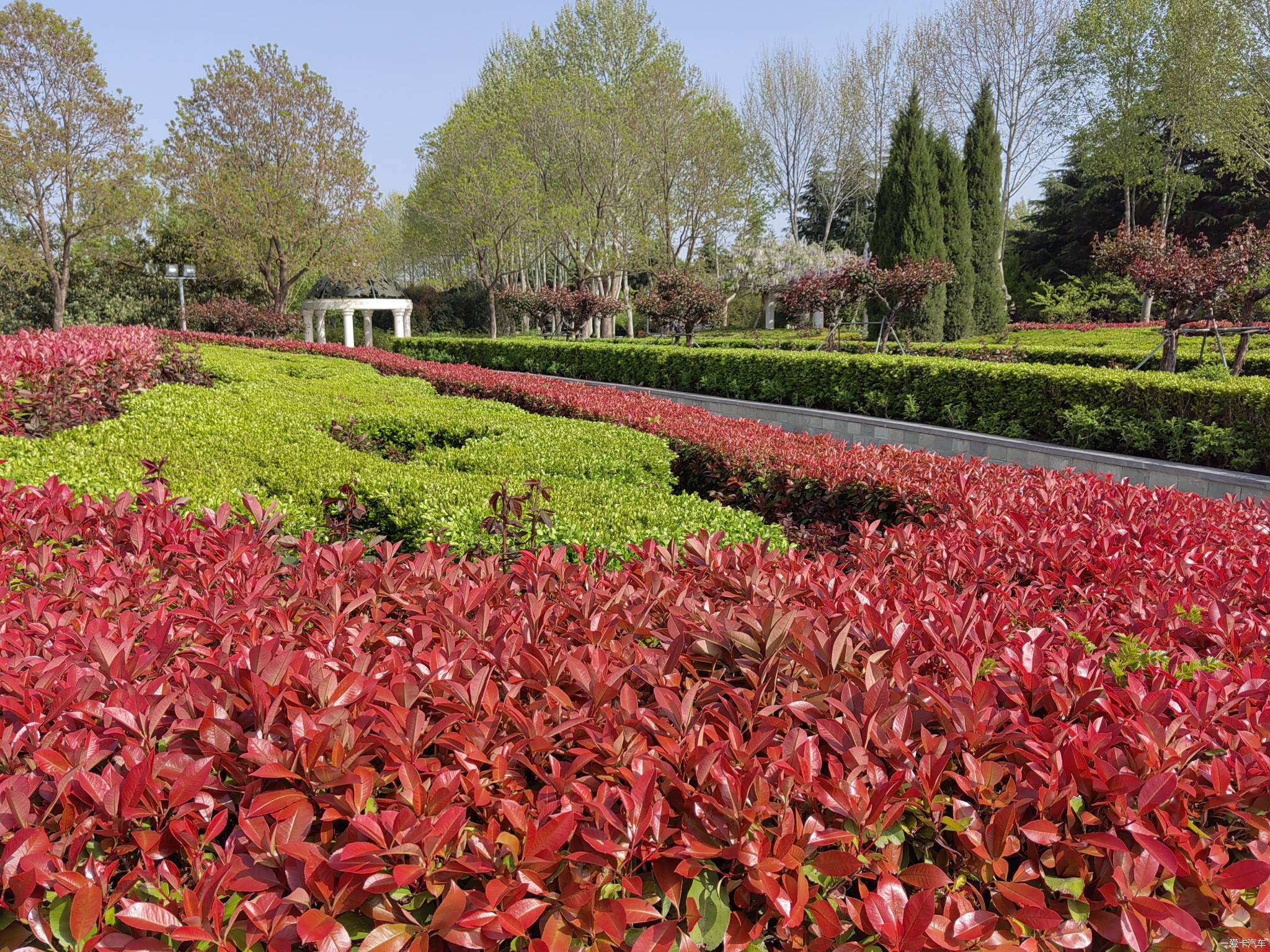 春与夏之精 郑州植物园