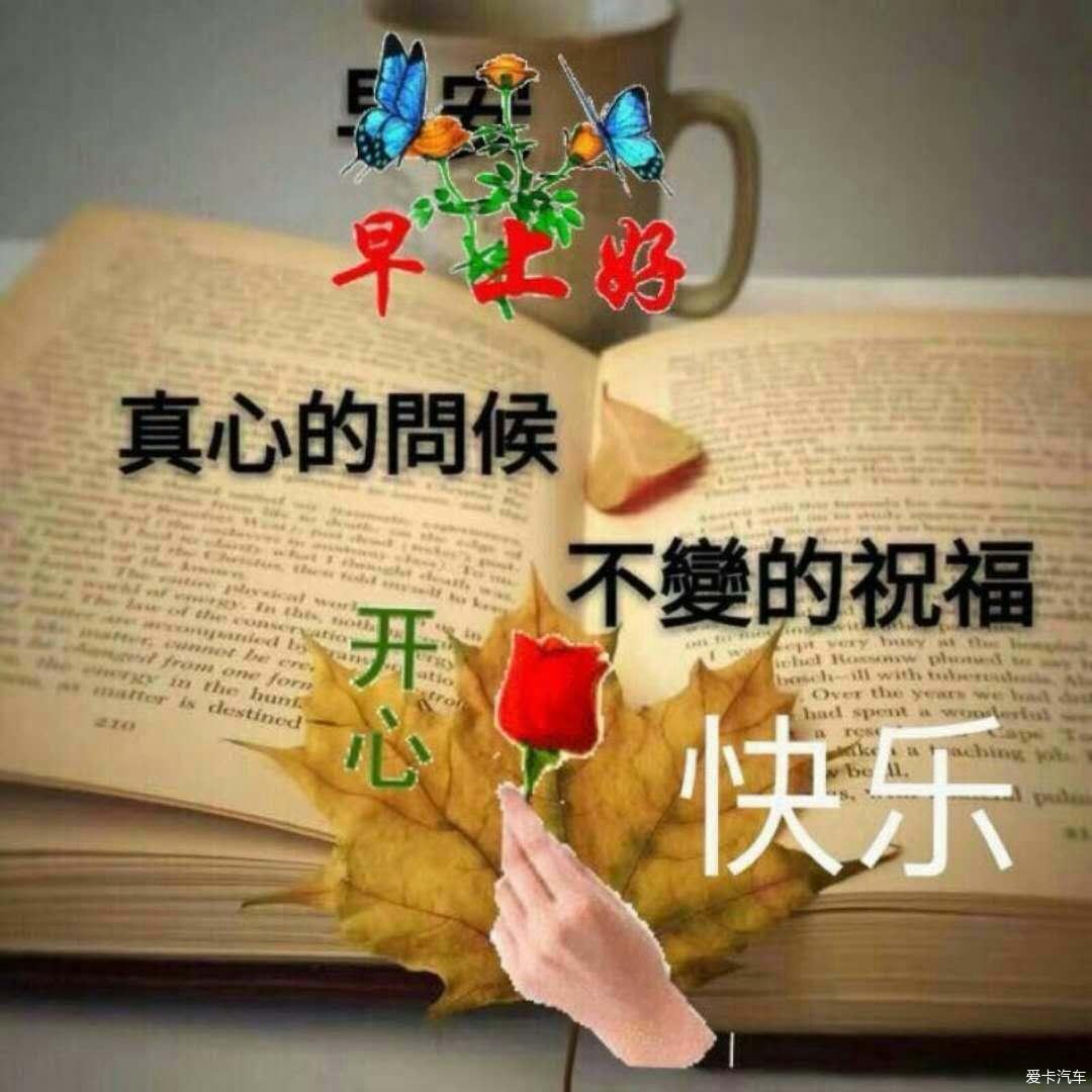 每日一语