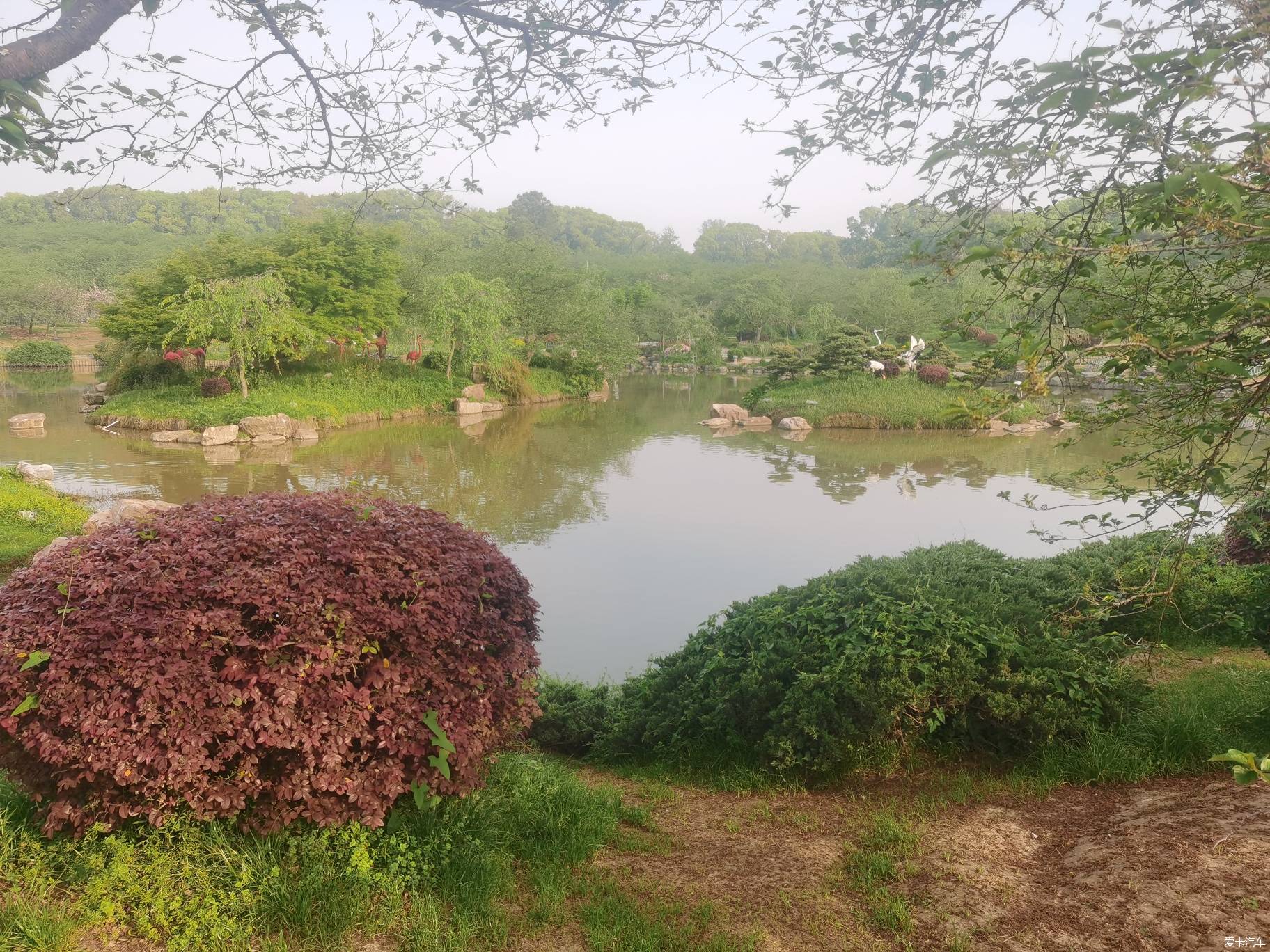 东湖风景区樱园