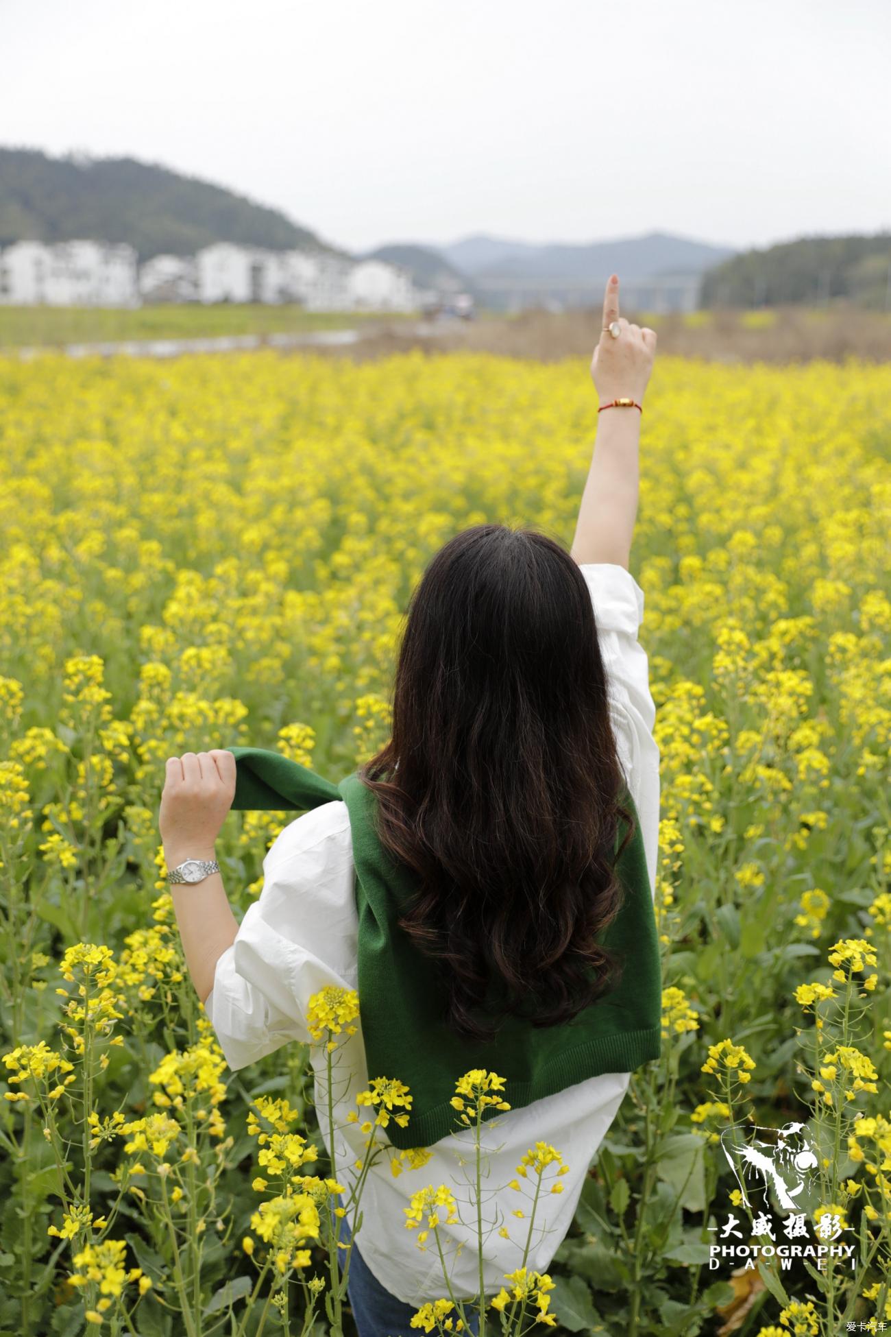 阳春三月婺源行（完整版）