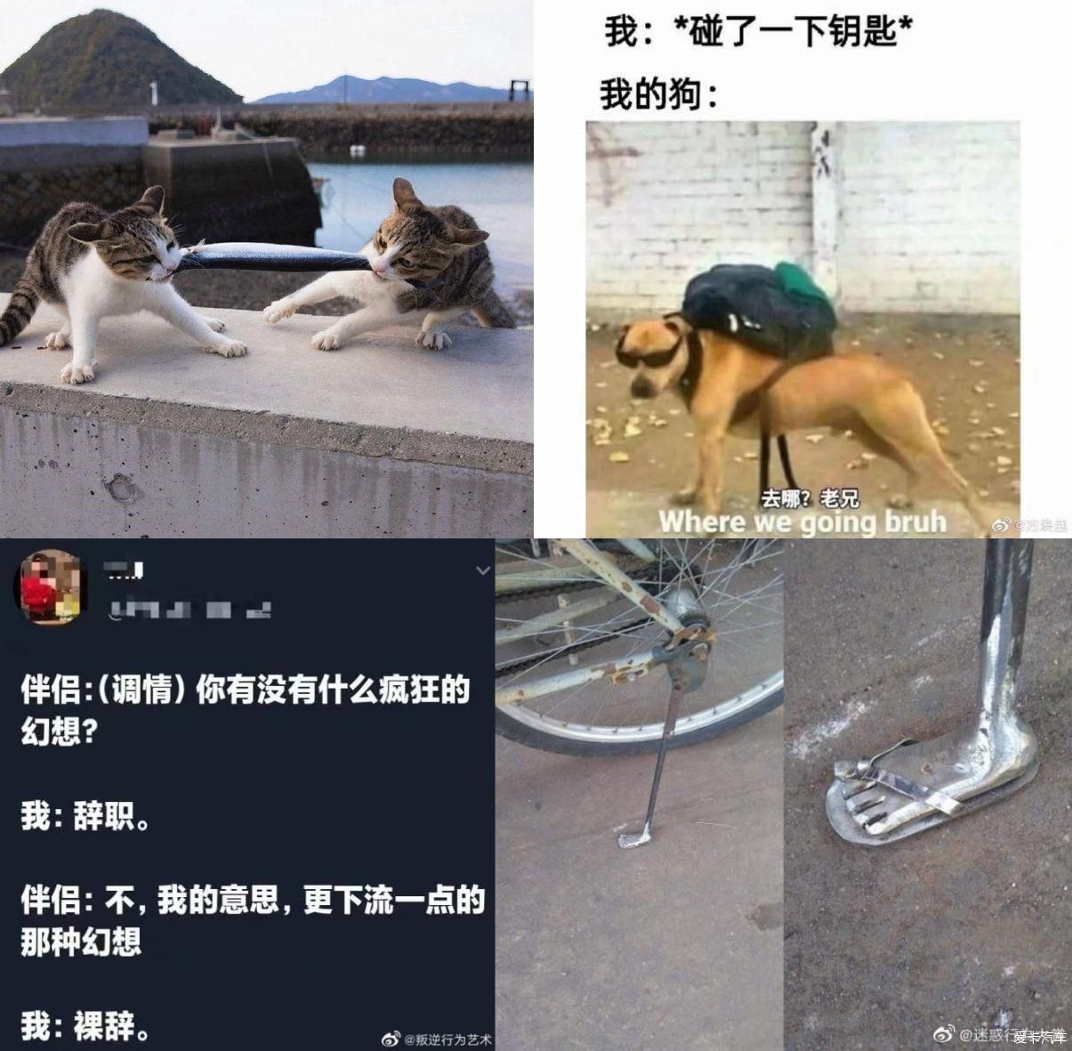 女人不精致有三種原因