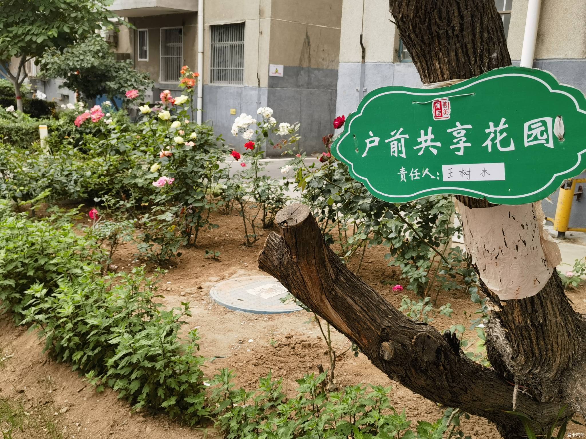 【春與夏之精】社區戶前小花園