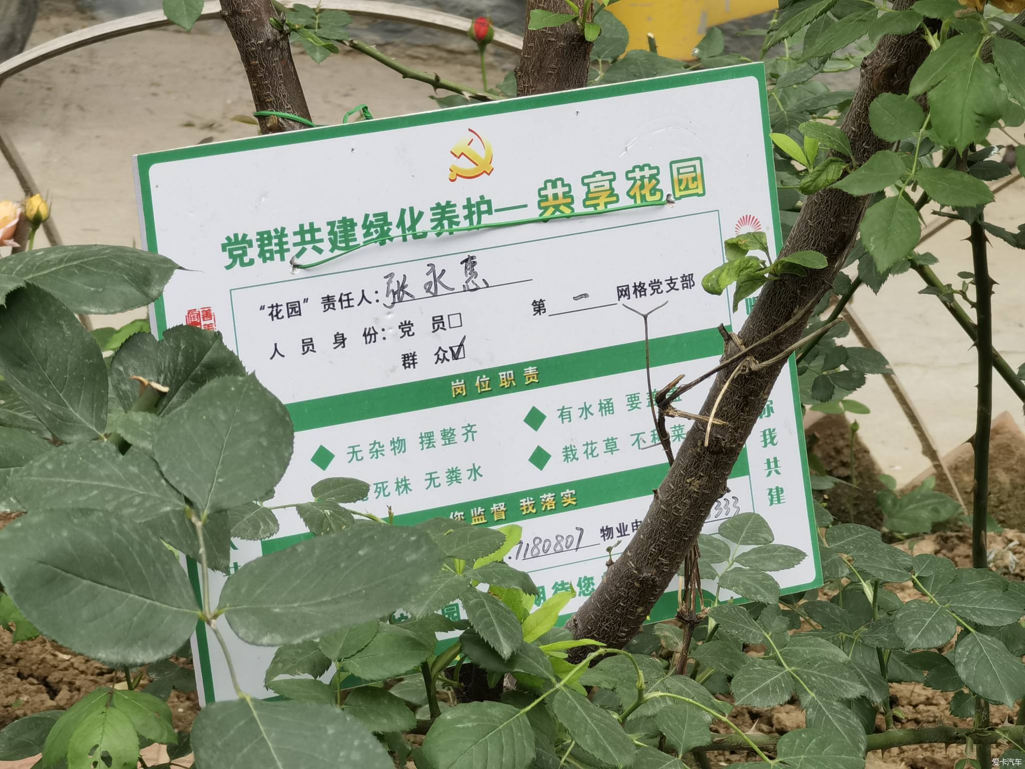 【春與夏之精】社區戶前小花園