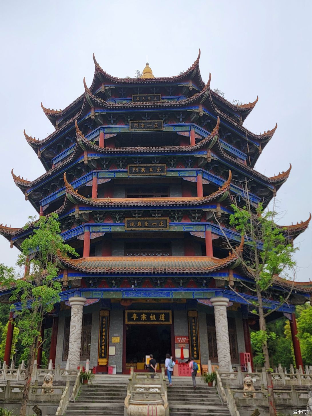 阳平观竹海，海窝子喝茶