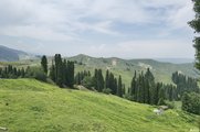 山地牧场，绝美恰西，新疆自驾游第六天