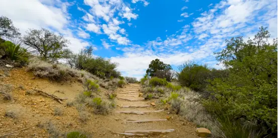 American father and son both went hiking for several hours in 48-degree heat Death