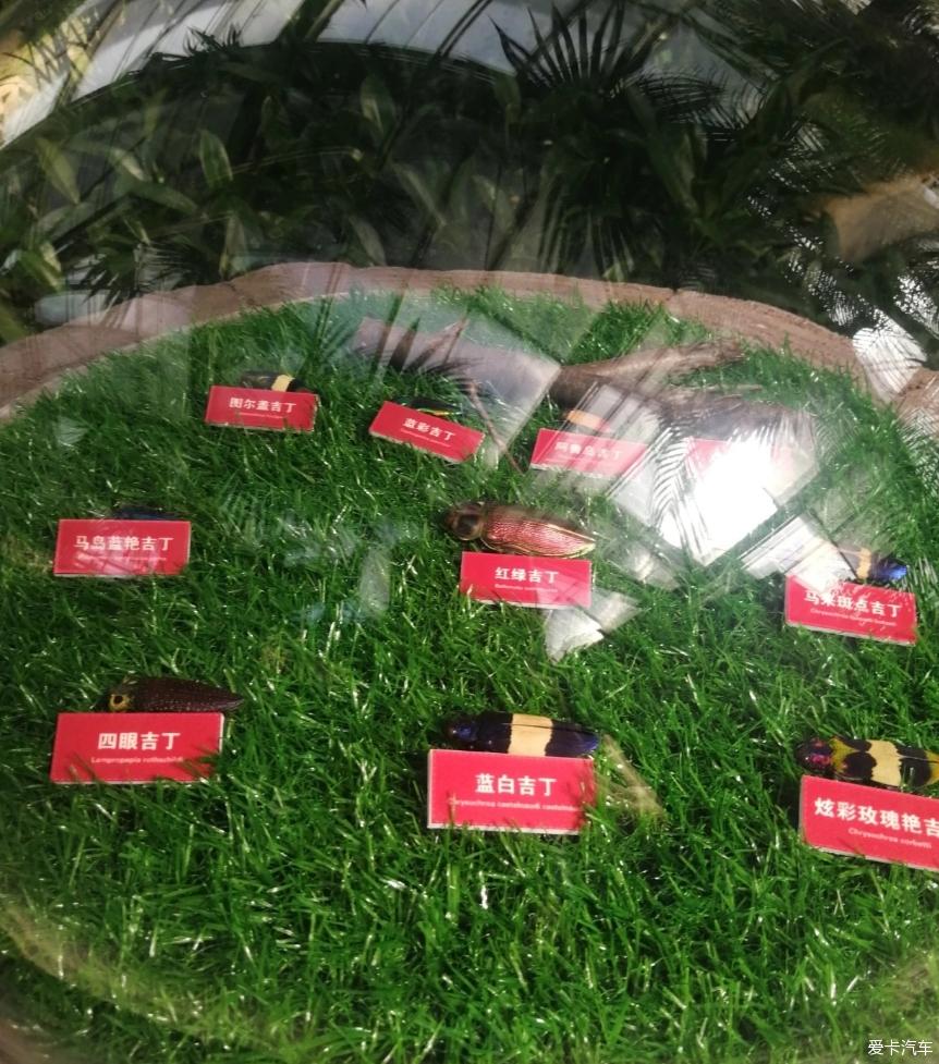 点击进入图库