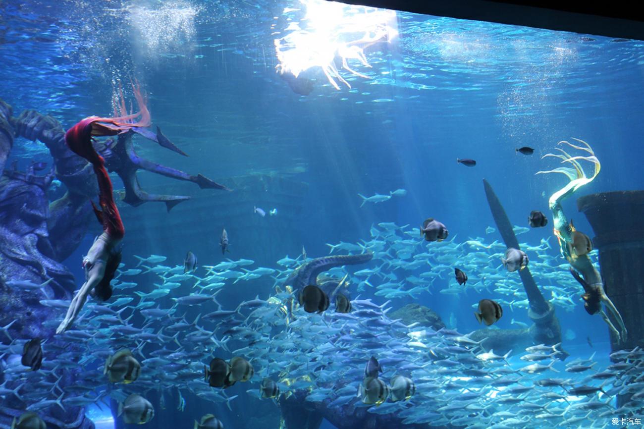 大连海洋馆 海底世界图片