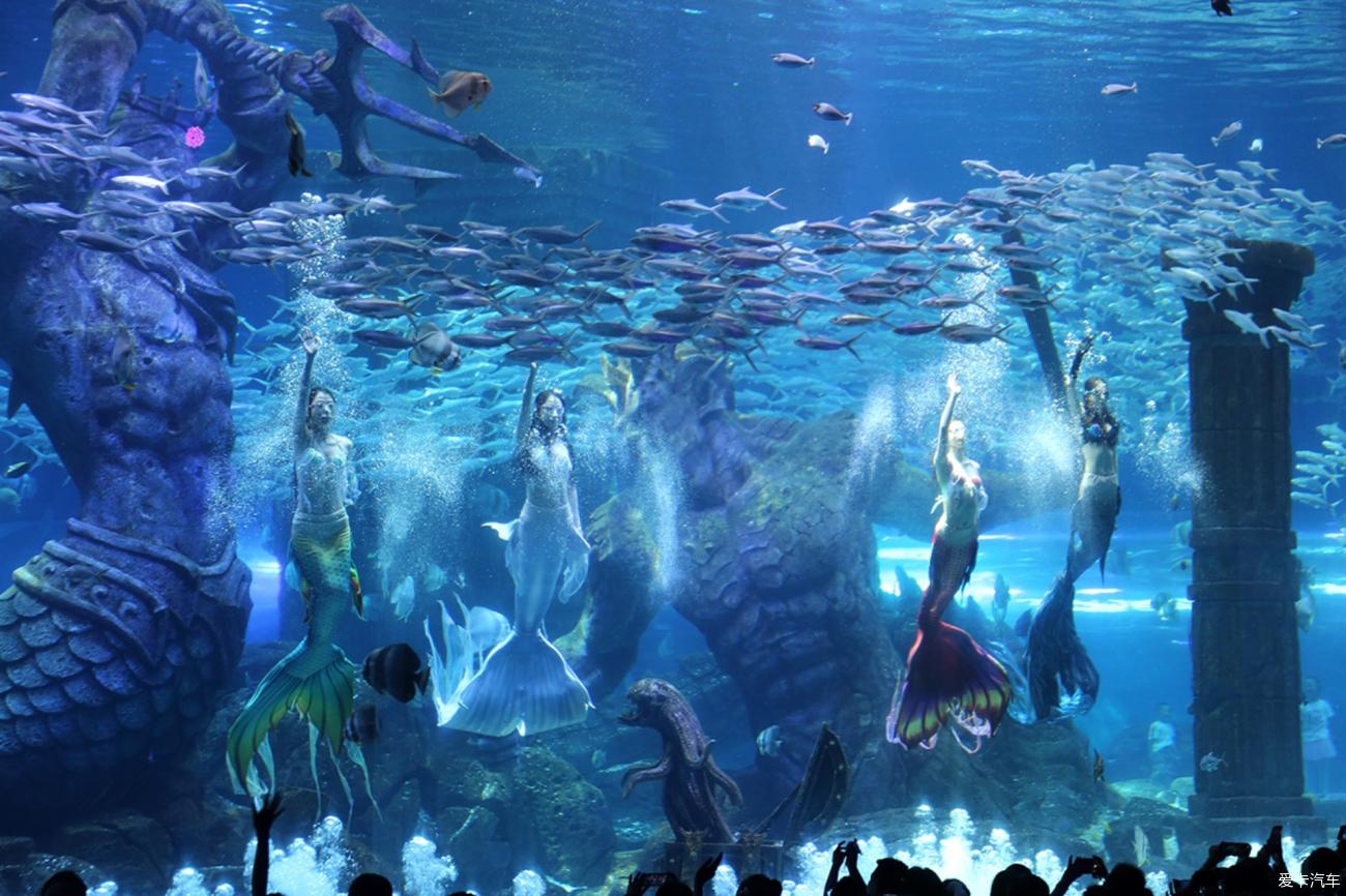 【夏季旅游大作战】哈尔滨波塞冬海底世界游玩攻略之美人鱼表演