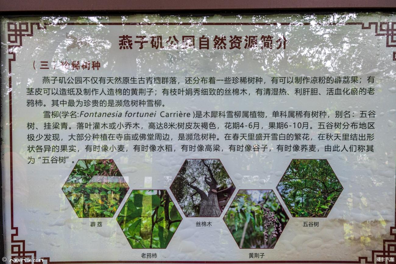 点击进入图库
