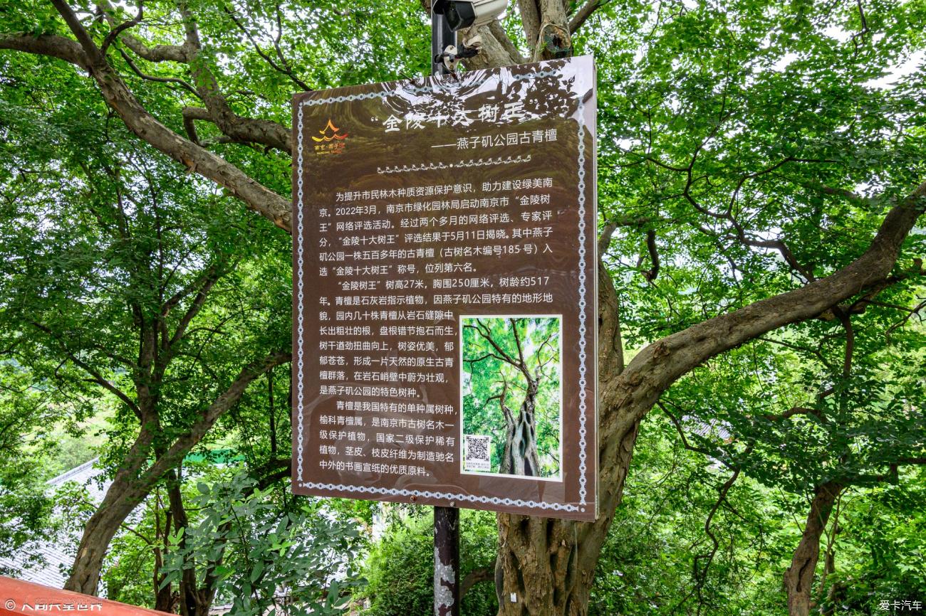 点击进入图库