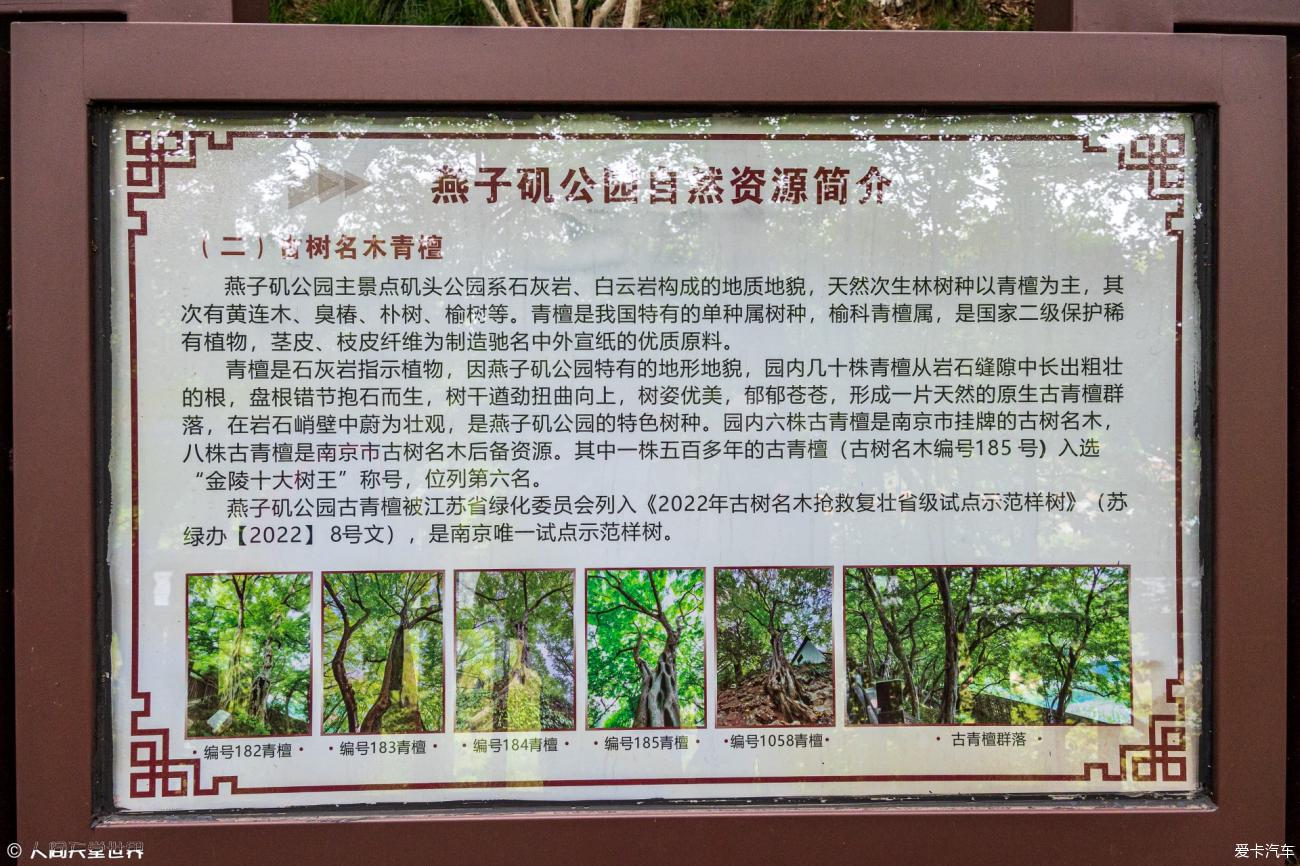 点击进入图库