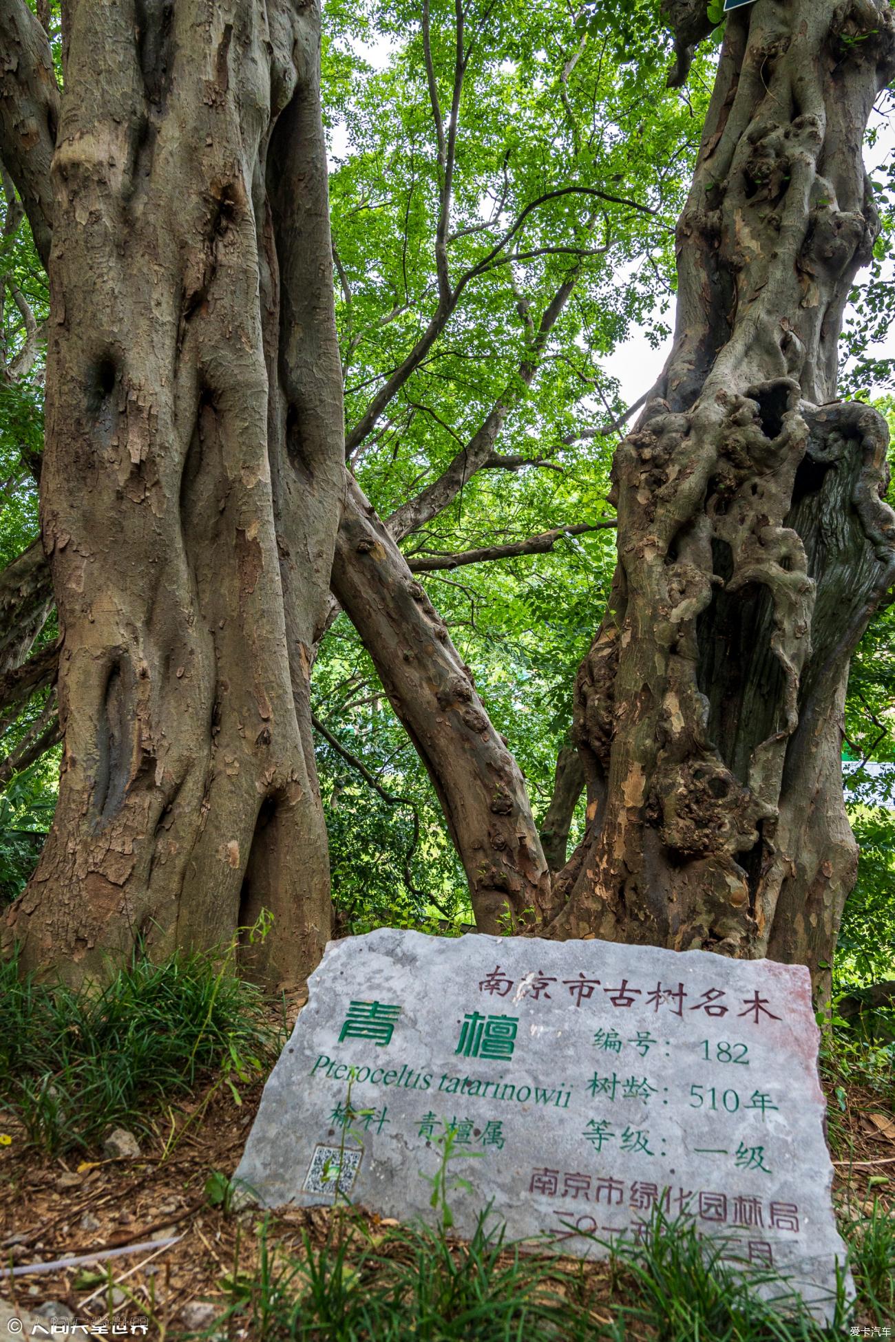 点击进入图库