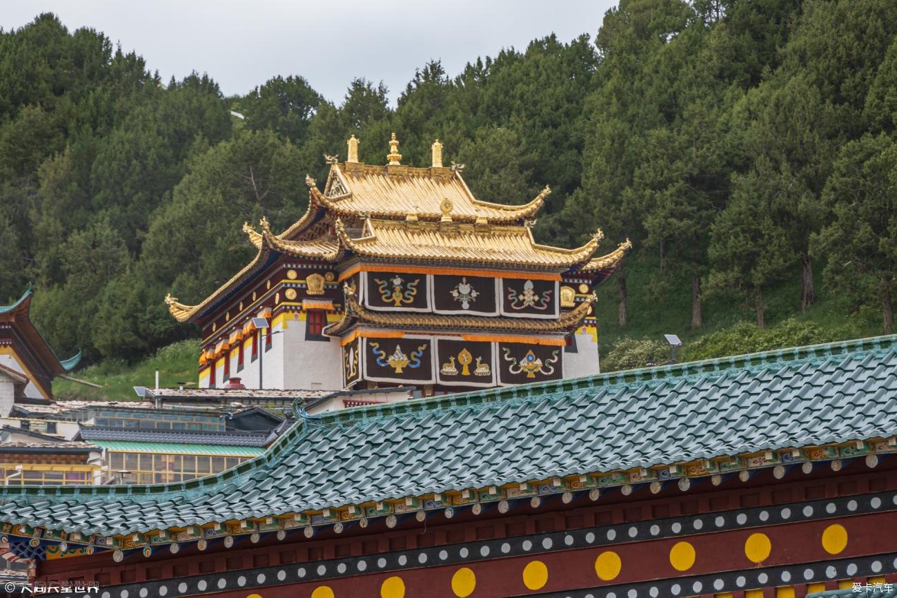 点击进入图库