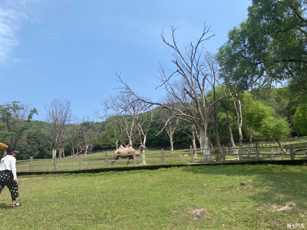 平山神鹿旅游区图片