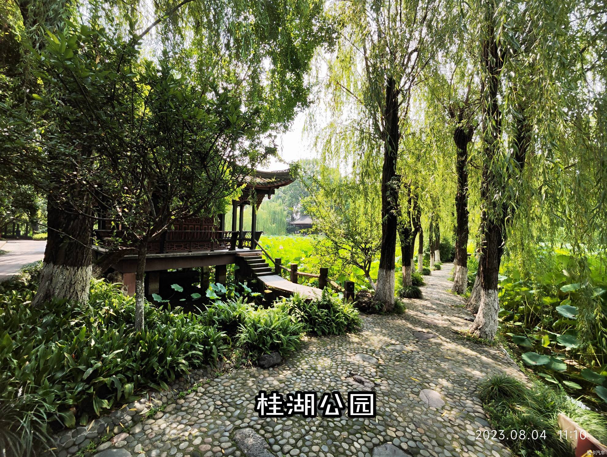 新都桂湖景区图片