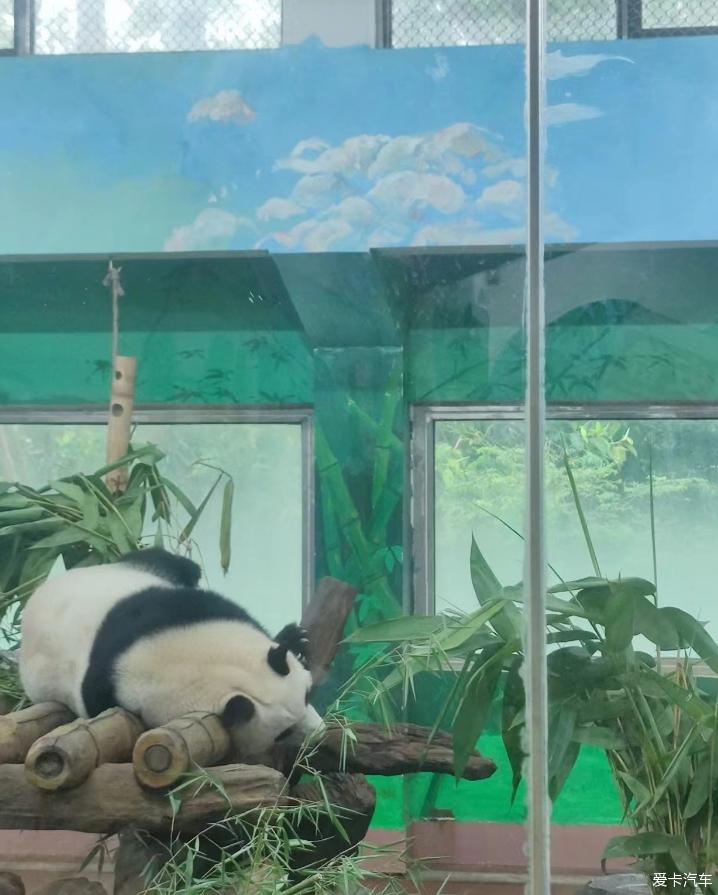 点击进入图库