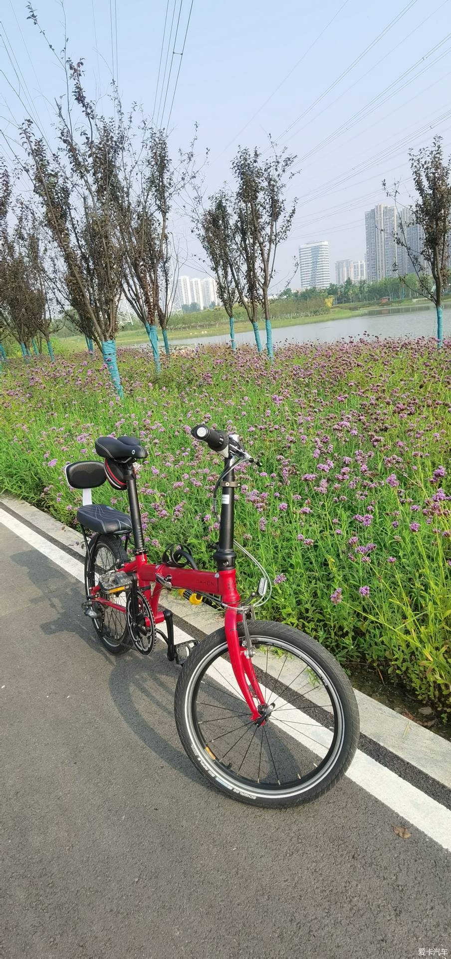 骑单车