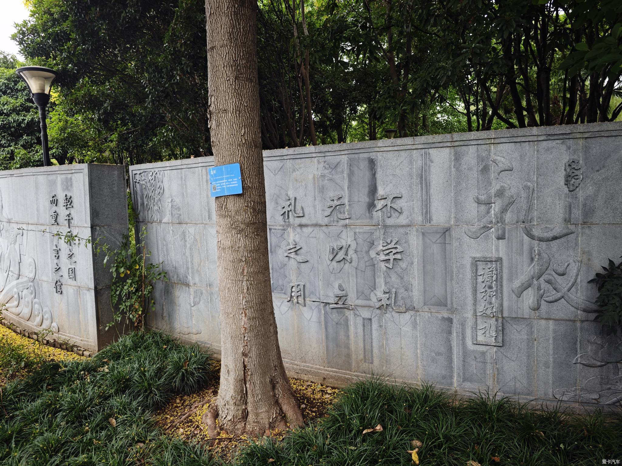 宝岛公园(上)