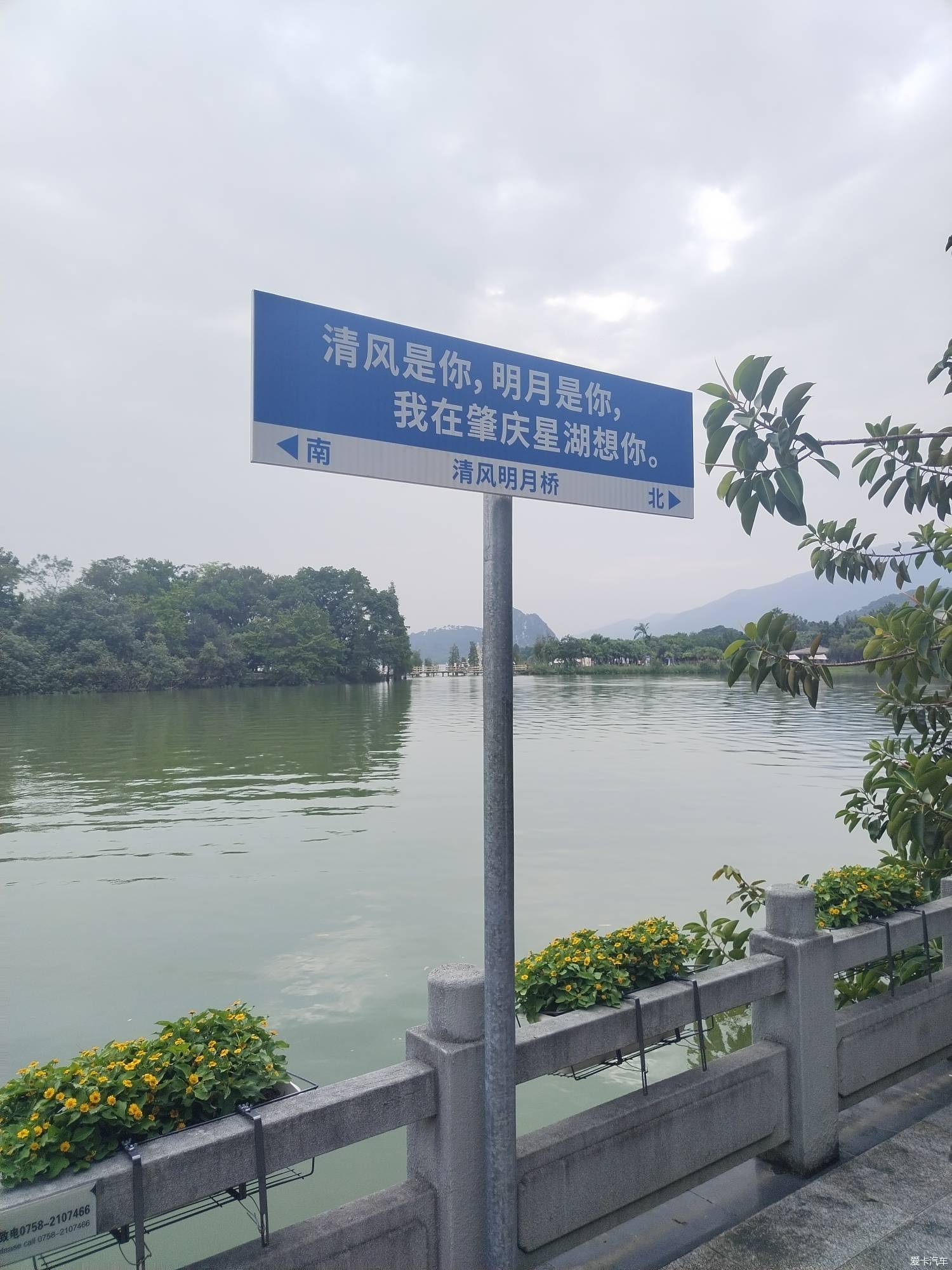 肇庆湿地公园简介图片