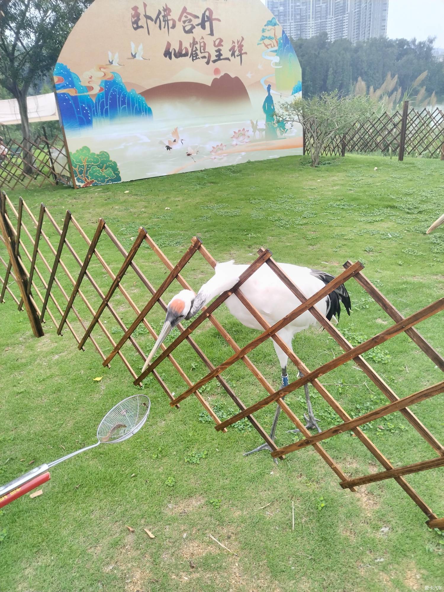 肇庆…湿地公园…卧佛含丹，我来了！